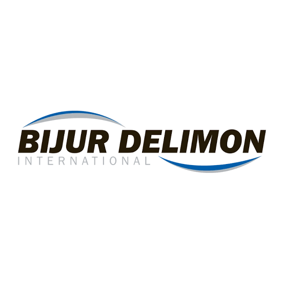 Bijur Delimon logo